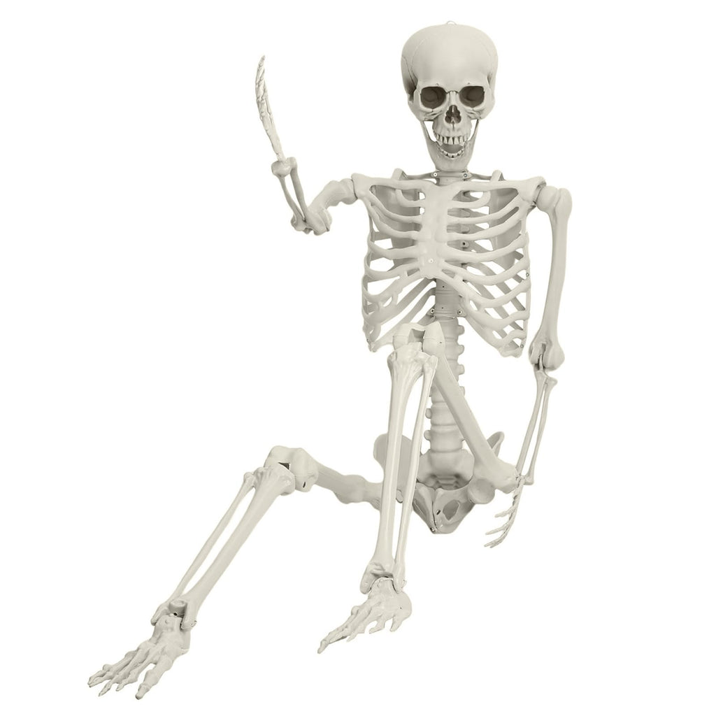 Halloween Skeleton Decoration 65inch Plastic Life Size T44476