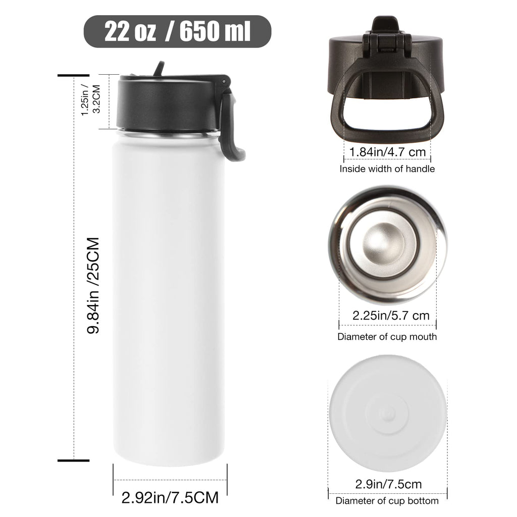 22 oz Stainless Steel Insulated Water Bottles with Straw 8 Pack O7938