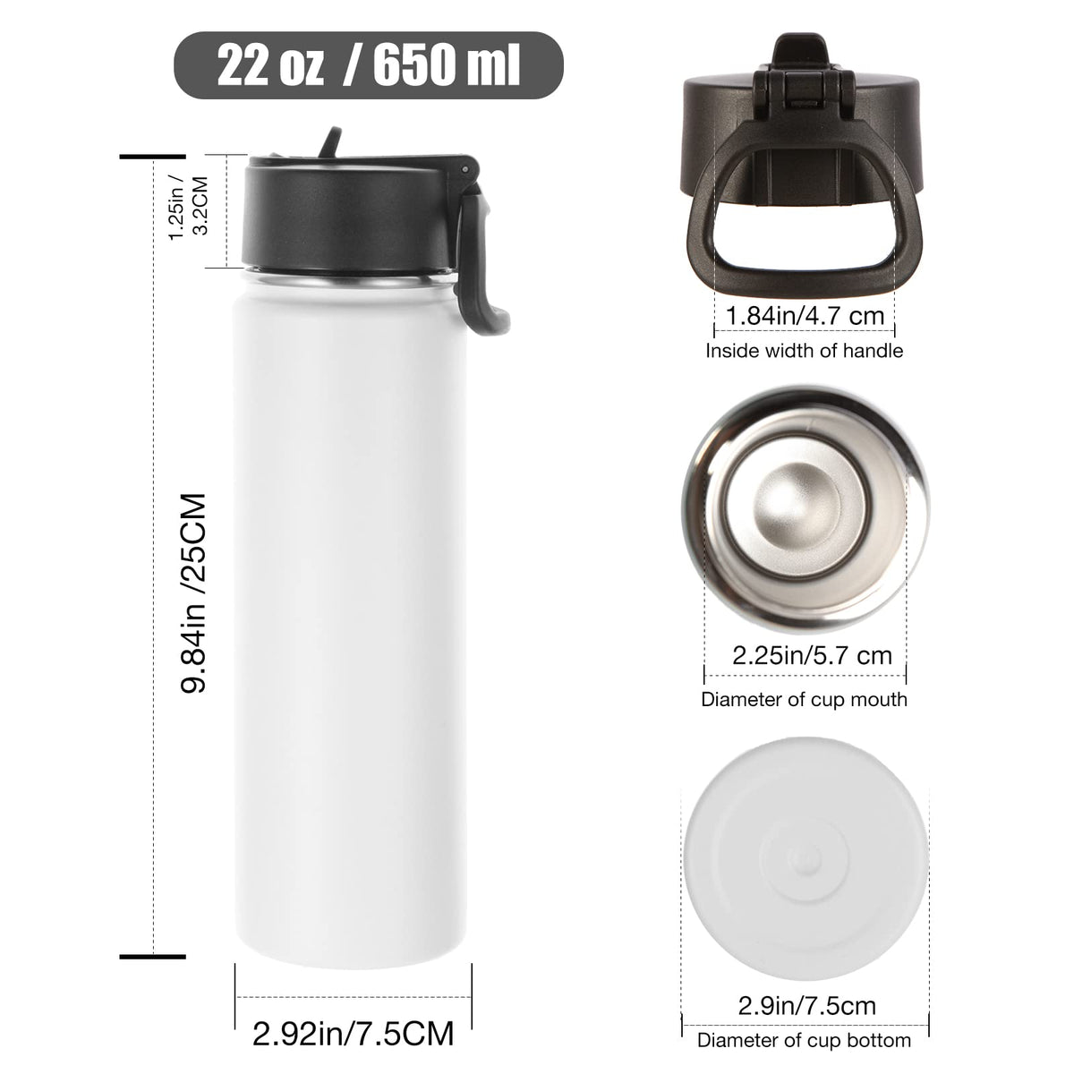 22 oz Stainless Steel Insulated Water Bottles with Straw 8 Pack O7938
