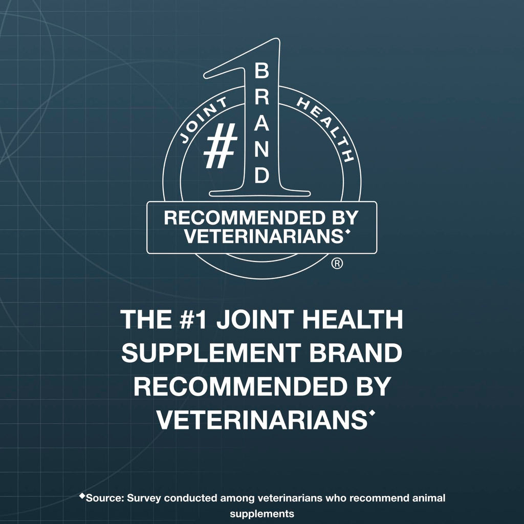 Soft Chews Joint Health Supplement for Large Dogs P194
