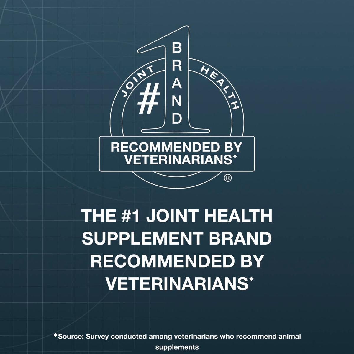 Soft Chews Joint Health Supplement for Large Dogs P194