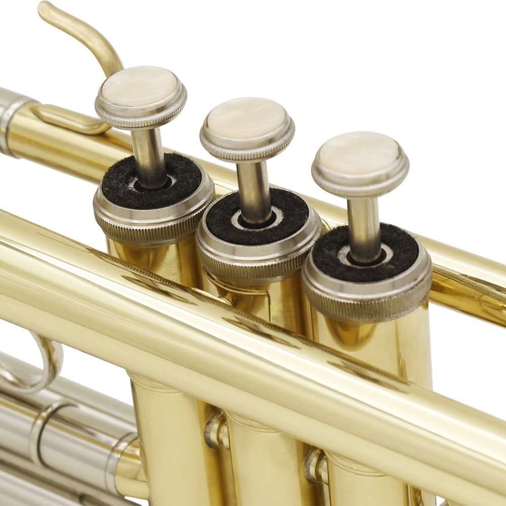 Standard Trumpet with Hard Case and 7C Mouthpiece J2485