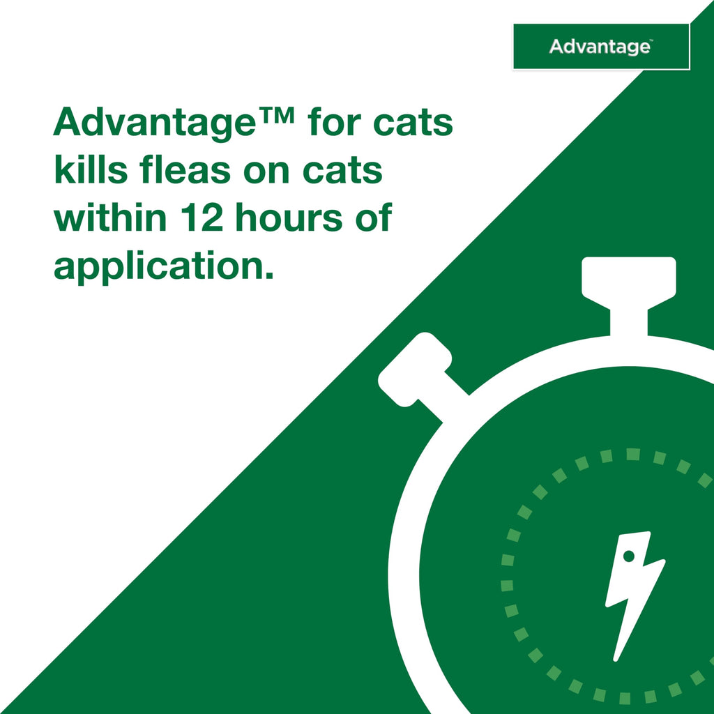 Topical Cat Flea Treatment and Prevention for Large Cats Over 9 lbs Y7371