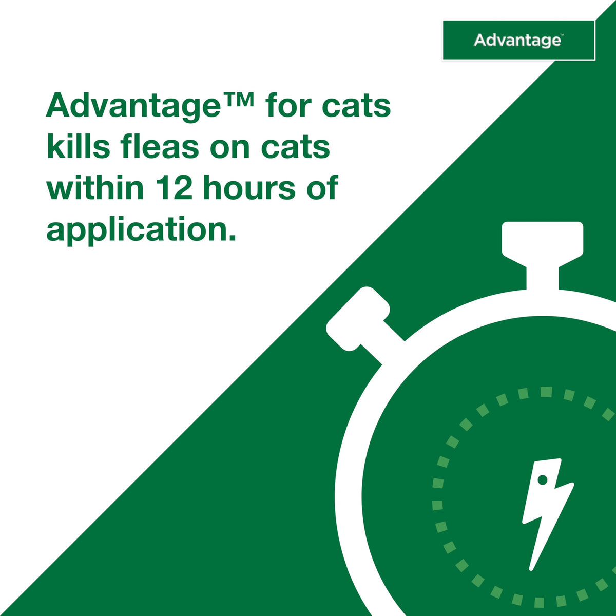 Topical Cat Flea Treatment and Prevention for Large Cats Over 9 lbs Y7371