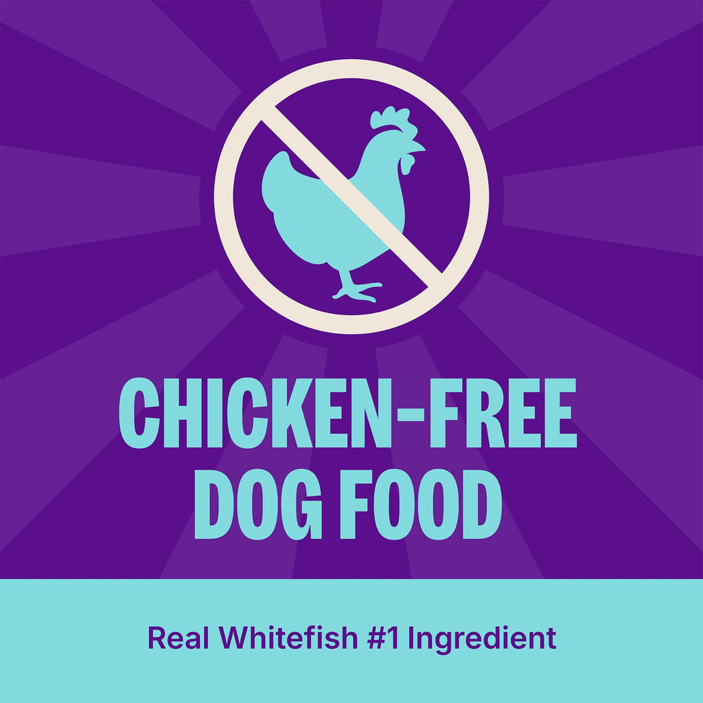 Dry Dog Food, Sensitive Stomach, Whitefish and Brown Rice, 22 lb Bag K677924