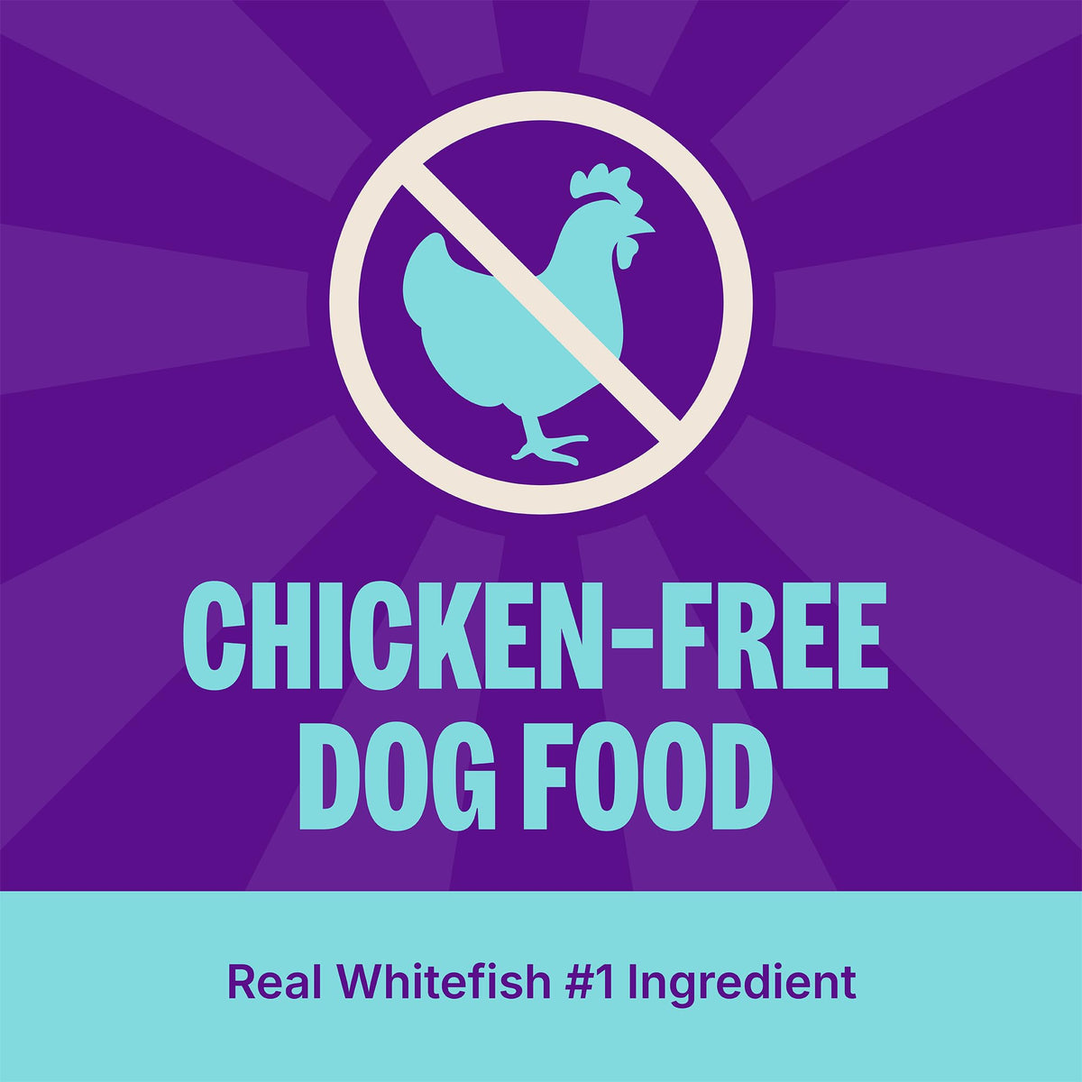Dry Dog Food, Sensitive Stomach, Whitefish and Brown Rice, 22 lb Bag K677924