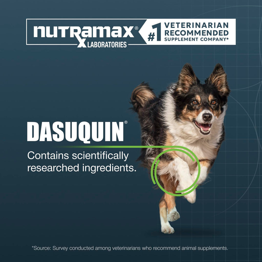 Soft Chews Joint Health Supplement for Large Dogs P194