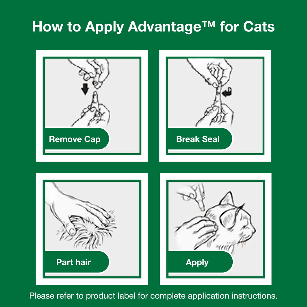 Topical Cat Flea Treatment and Prevention for Large Cats Over 9 lbs Y7371