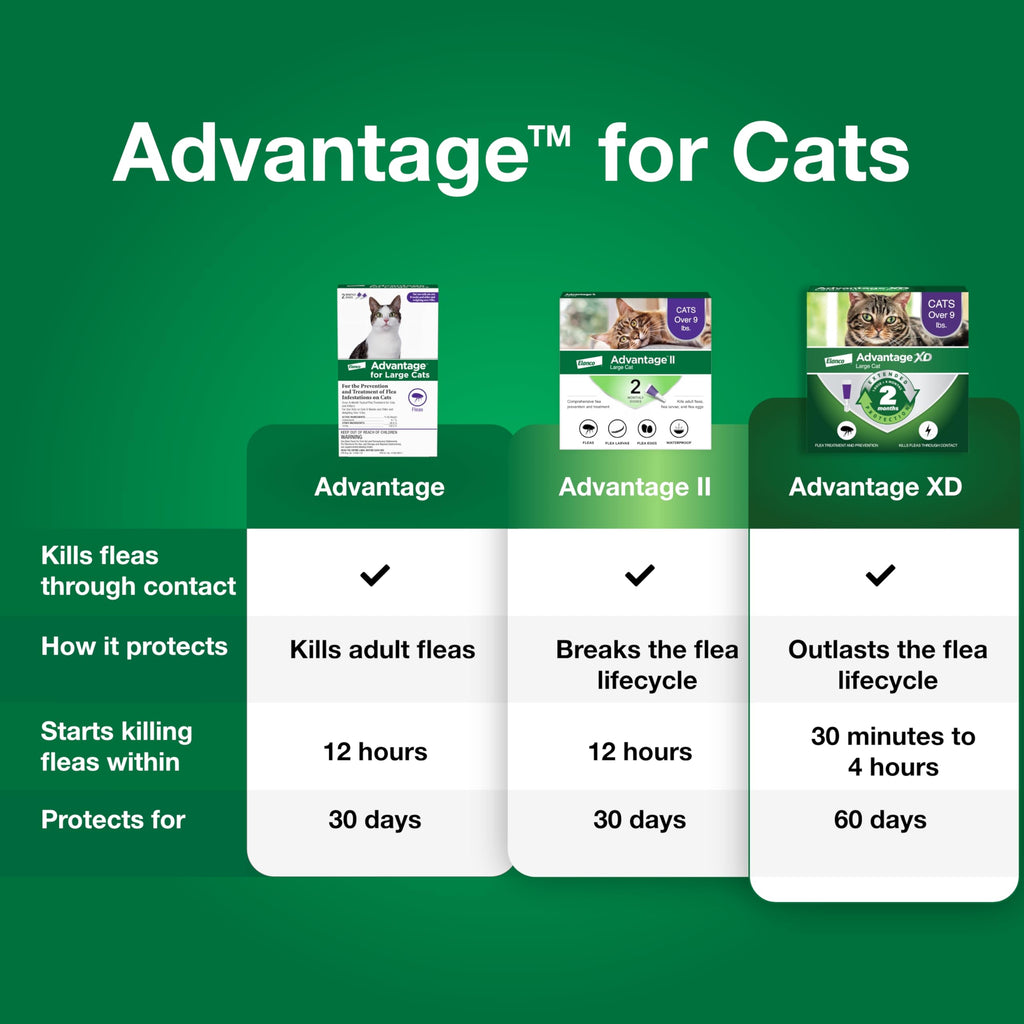 Topical Cat Flea Treatment and Prevention for Large Cats Over 9 lbs Y7371