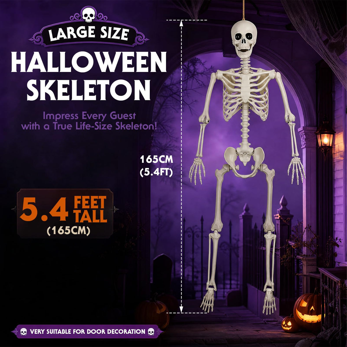5.4FT Posable Life Size Skeleton (2PCS) X6448