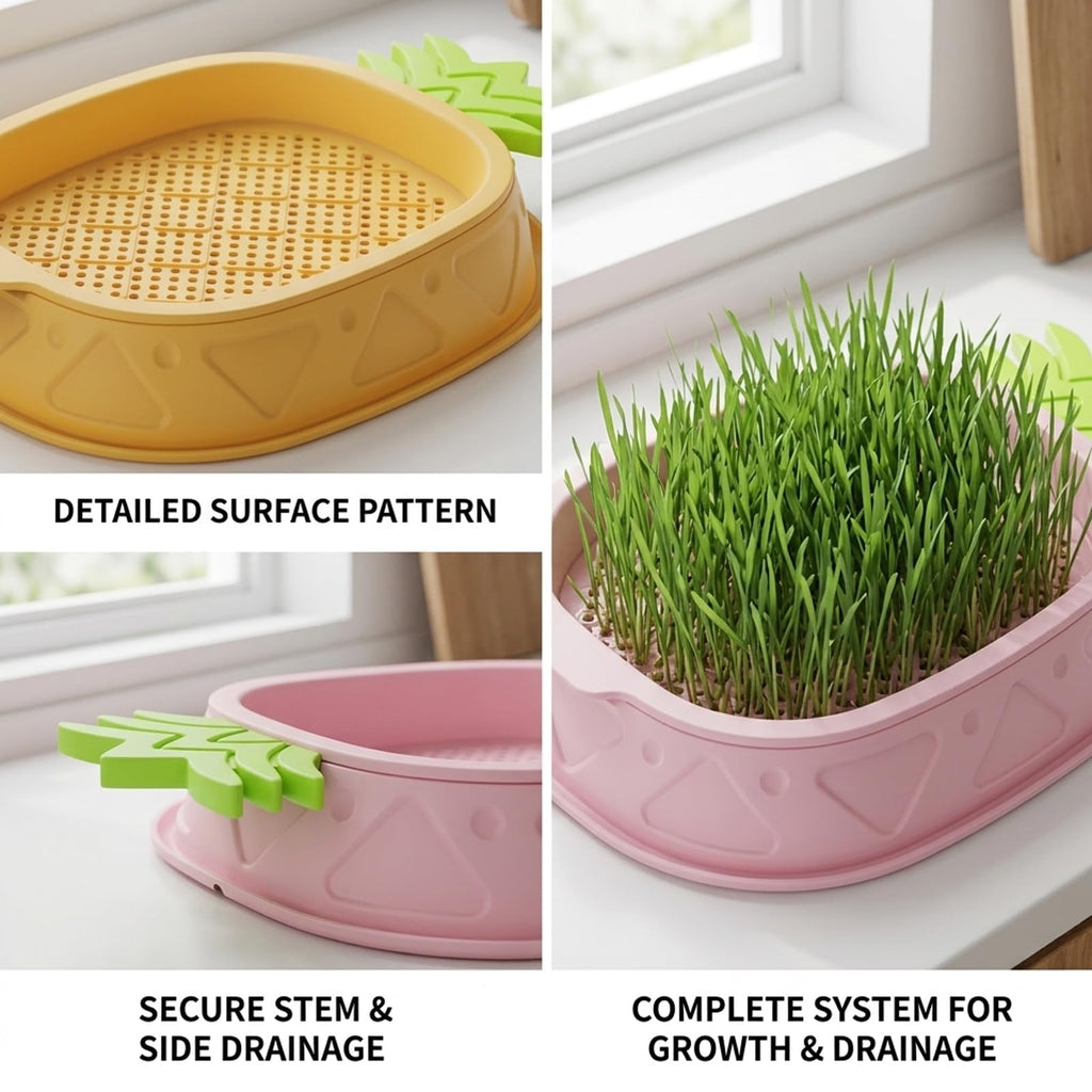 2 Pack Hydroponic Cat Grass Planter F9397