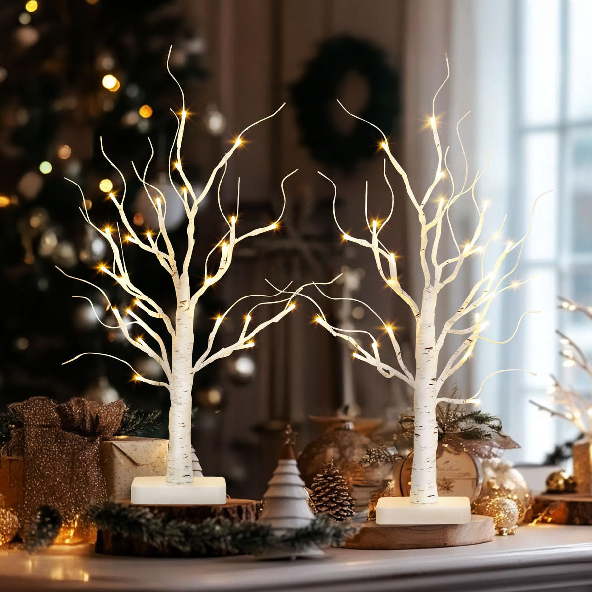 Lighted Birch Tree 2 Pack with 24 LED Battery Powered Timer Y38613