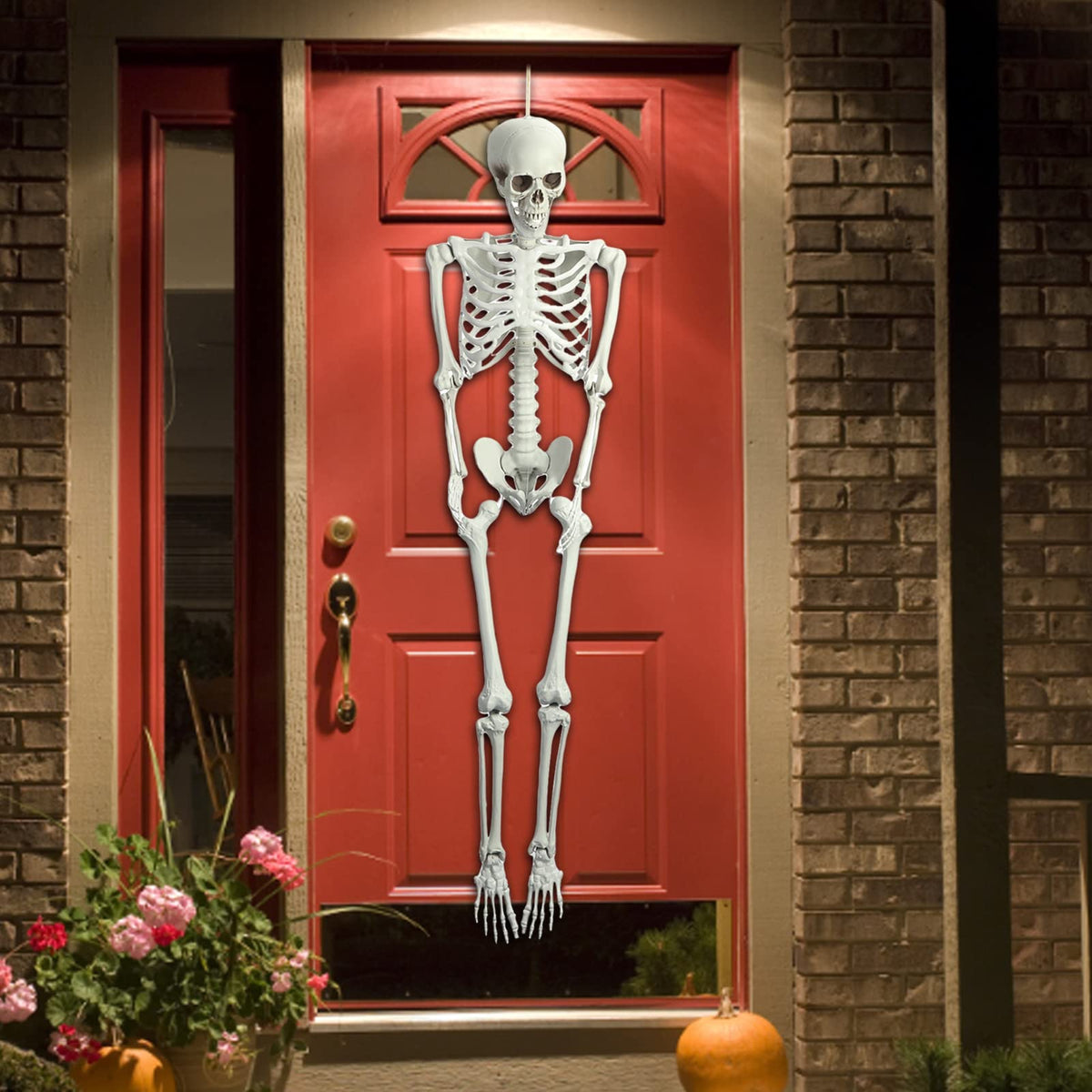 Halloween Skeleton Decoration 65inch Plastic Life Size T44476