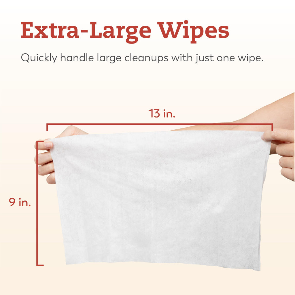 Large Briefs Starter Pack, 2 Bags + Cleansing Wipes K19133