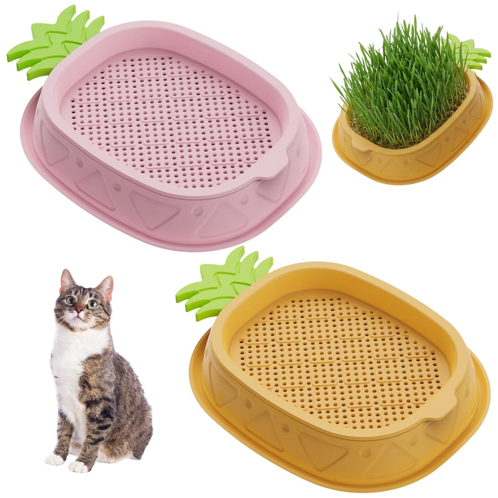 2 Pack Hydroponic Cat Grass Planter F9397
