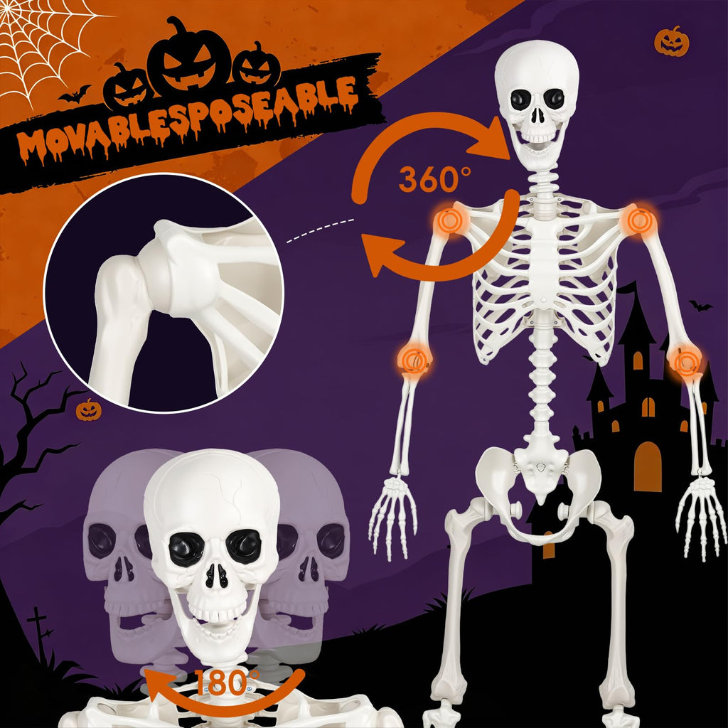 5.4FT Posable Life Size Skeleton (2PCS) X6448