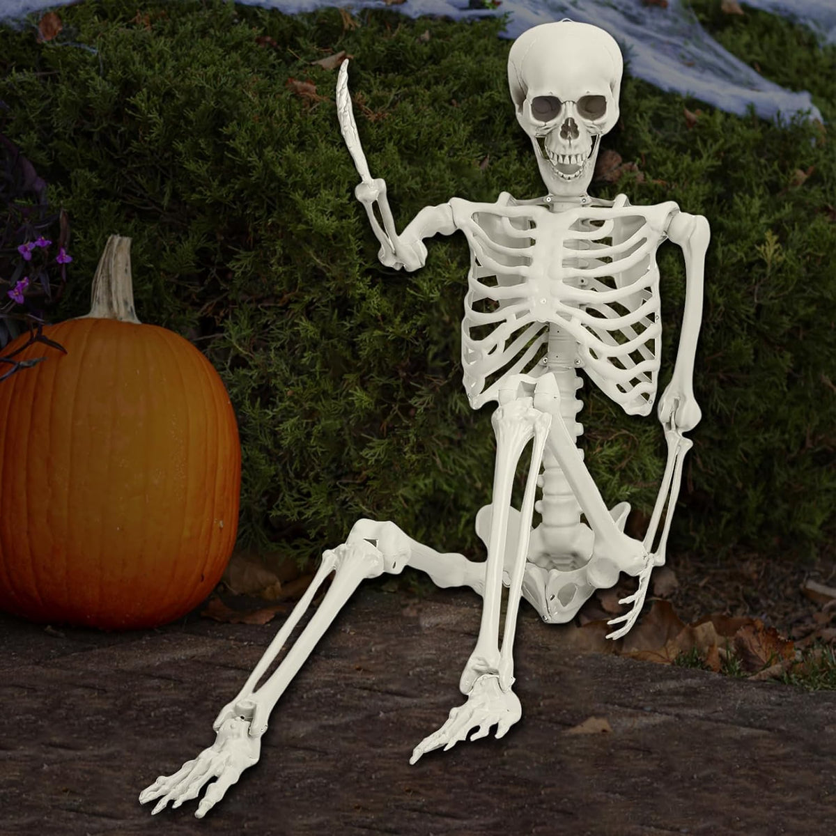 Halloween Skeleton Decoration 65inch Plastic Life Size T44476
