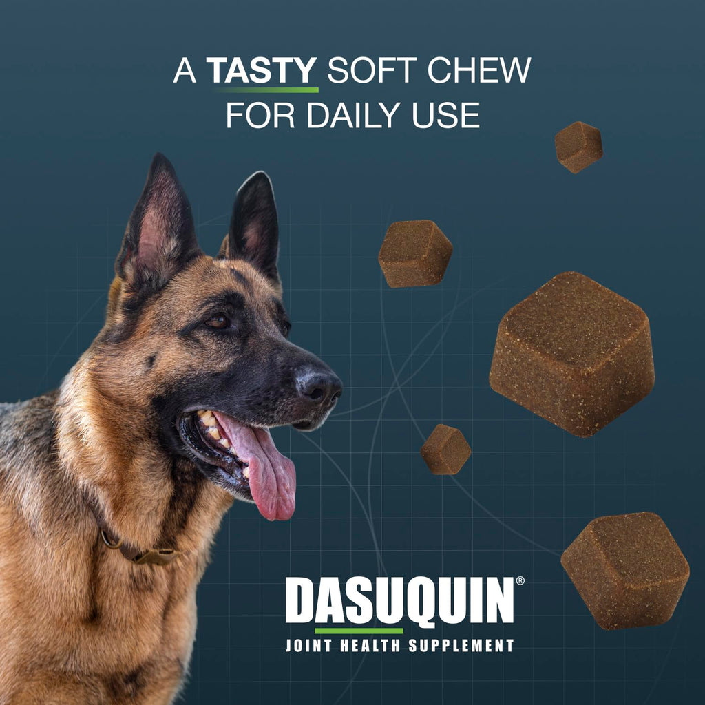 Soft Chews Joint Health Supplement for Large Dogs P194