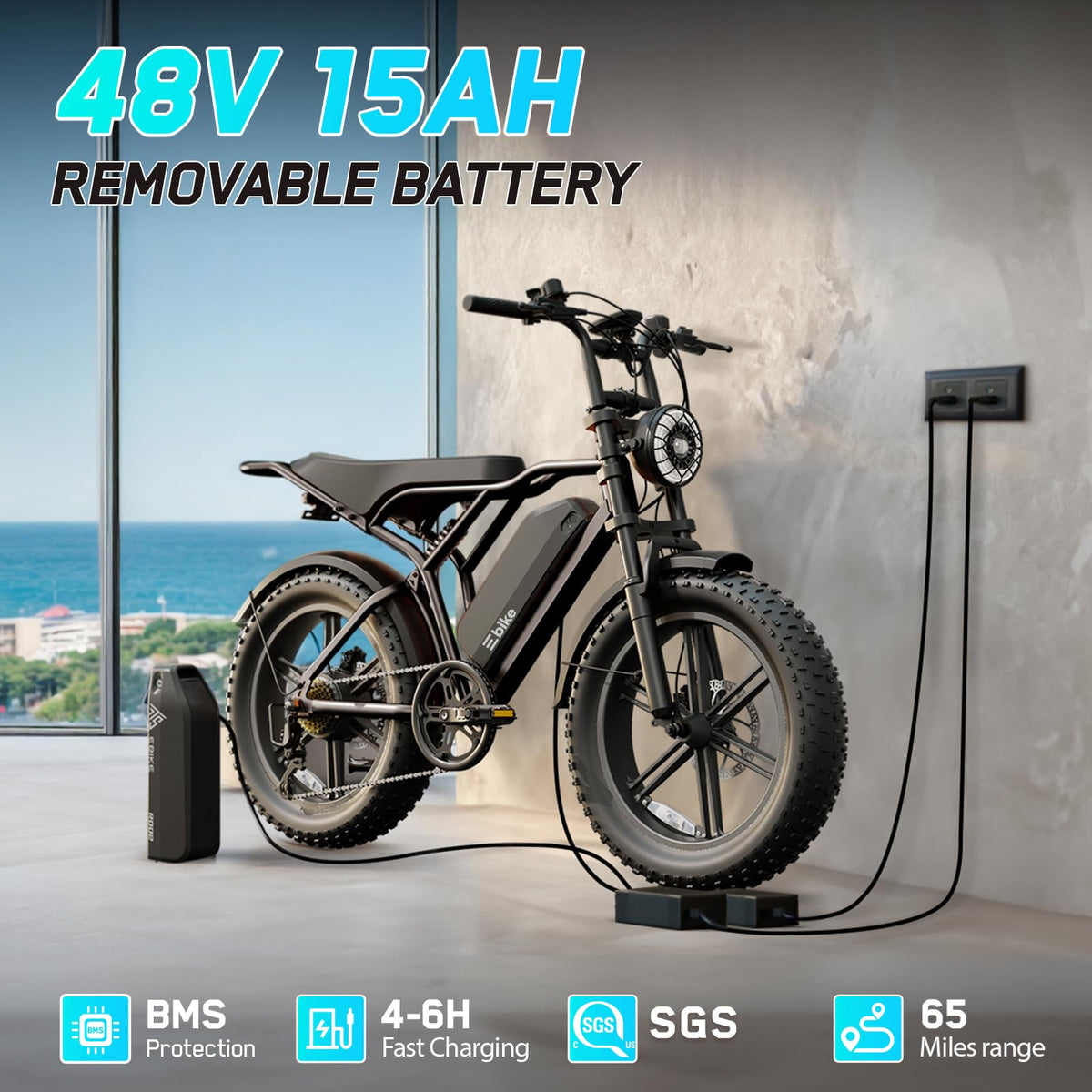 Electric Bike 48V 2000W Motor N6002
