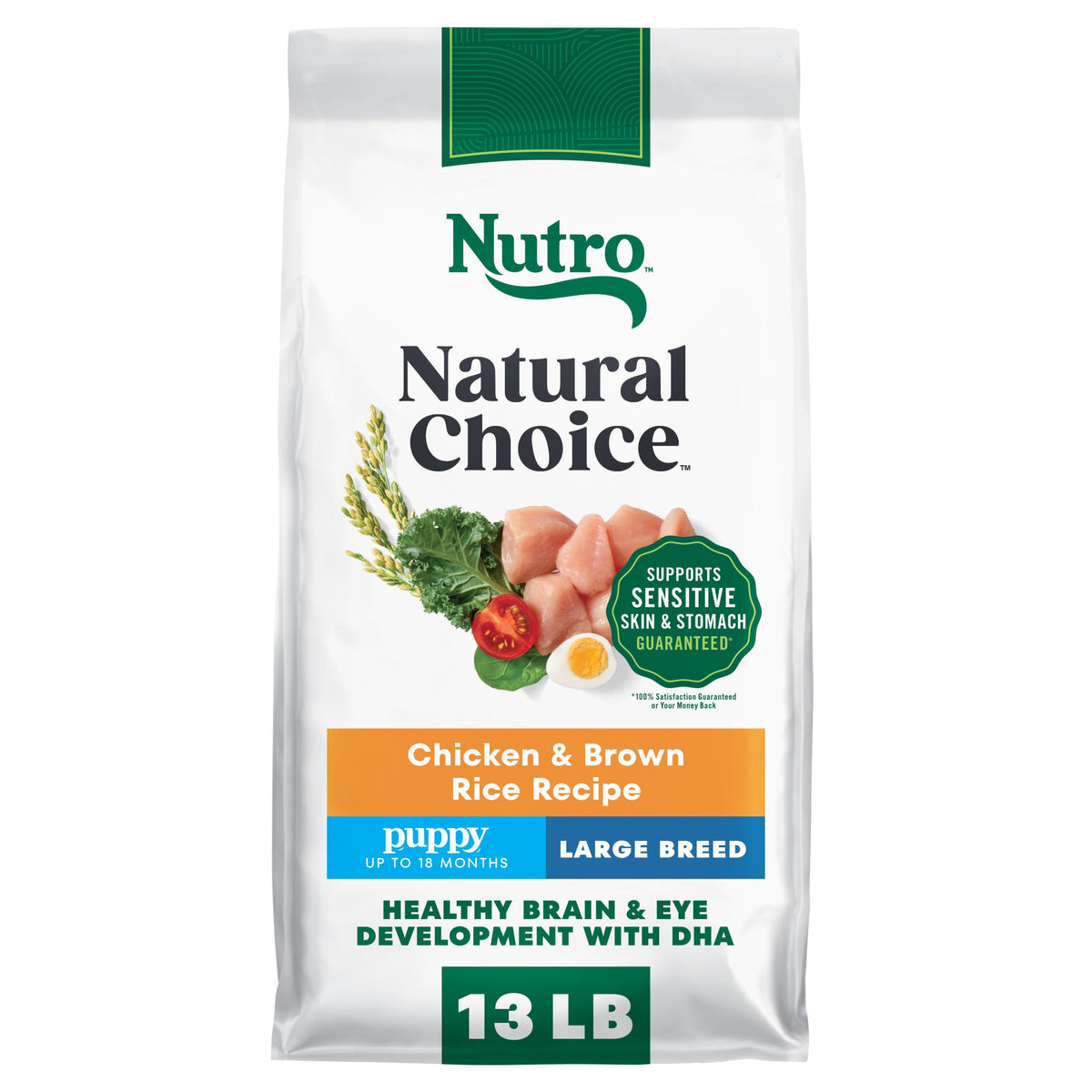 Large Breed Puppy Dry Dog Food Chicken 13 lb B9346