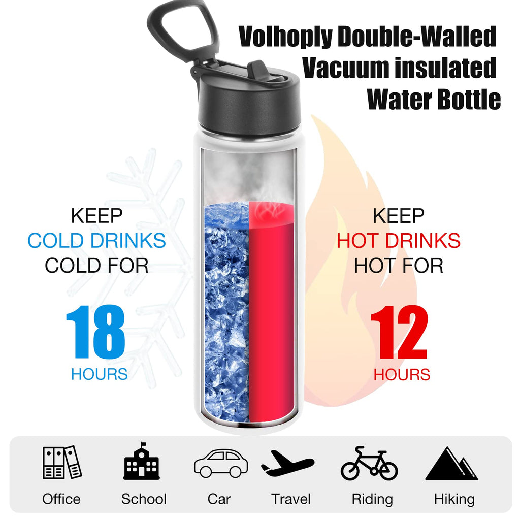 22 oz Stainless Steel Insulated Water Bottles with Straw 8 Pack O7938