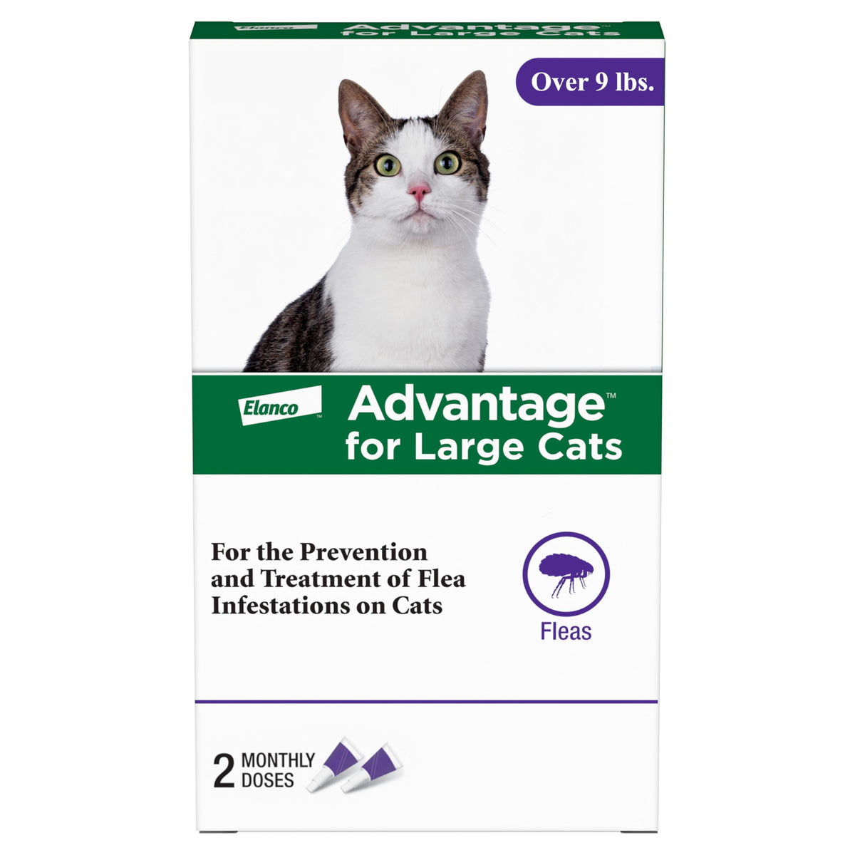 Topical Cat Flea Treatment and Prevention for Large Cats Over 9 lbs Y7371