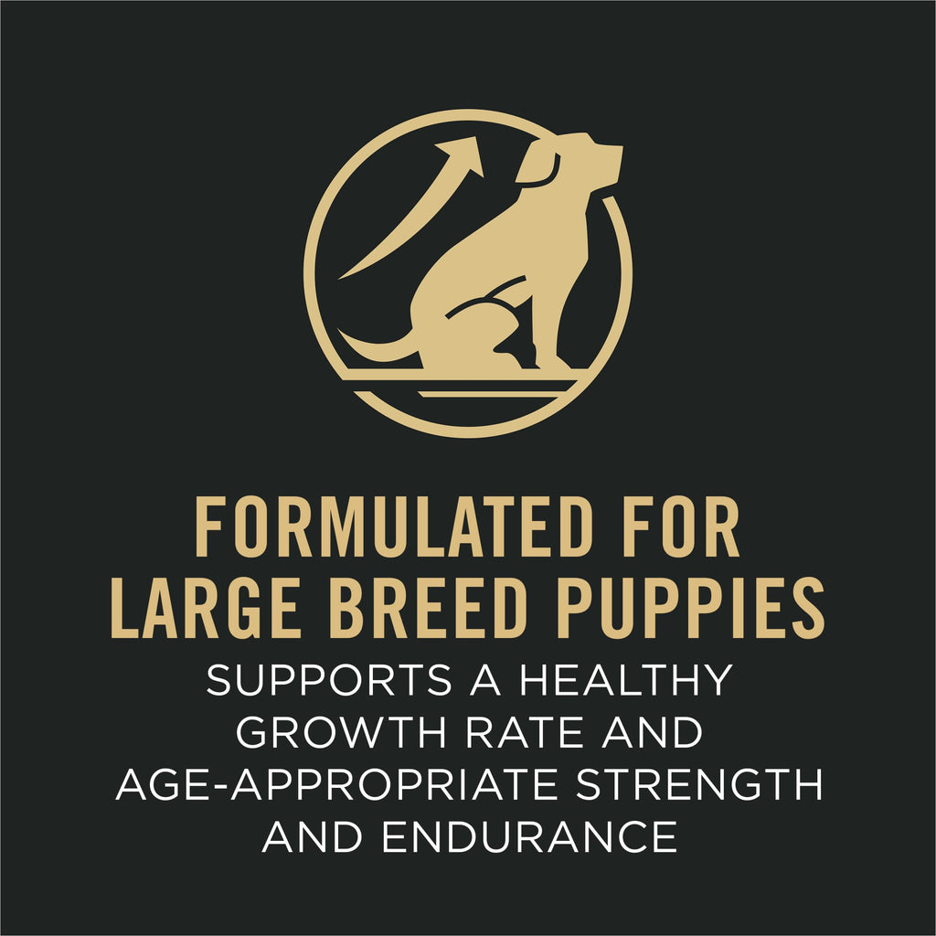 Chicken and Rice High Protein Dog Food 35 lb S73469