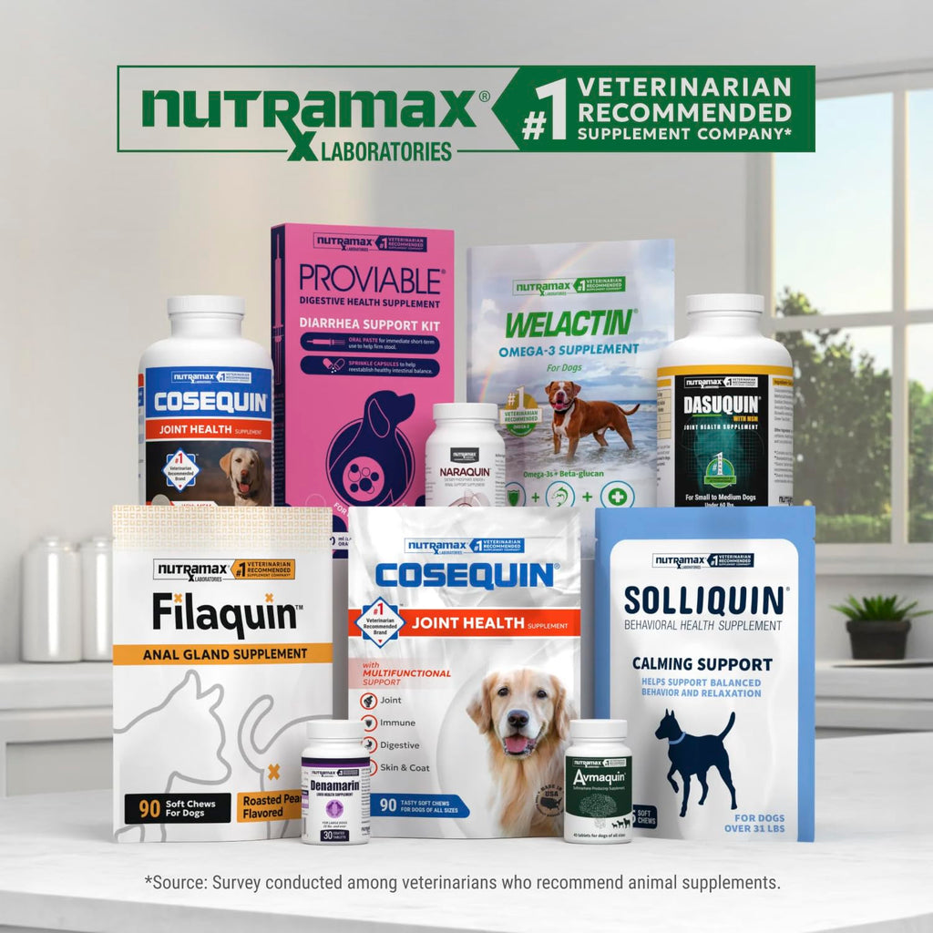 Soft Chews Joint Health Supplement for Large Dogs P194