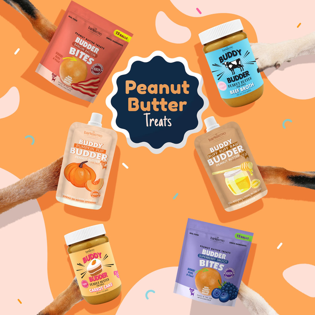 Peanut Butter Dog Treat N17935