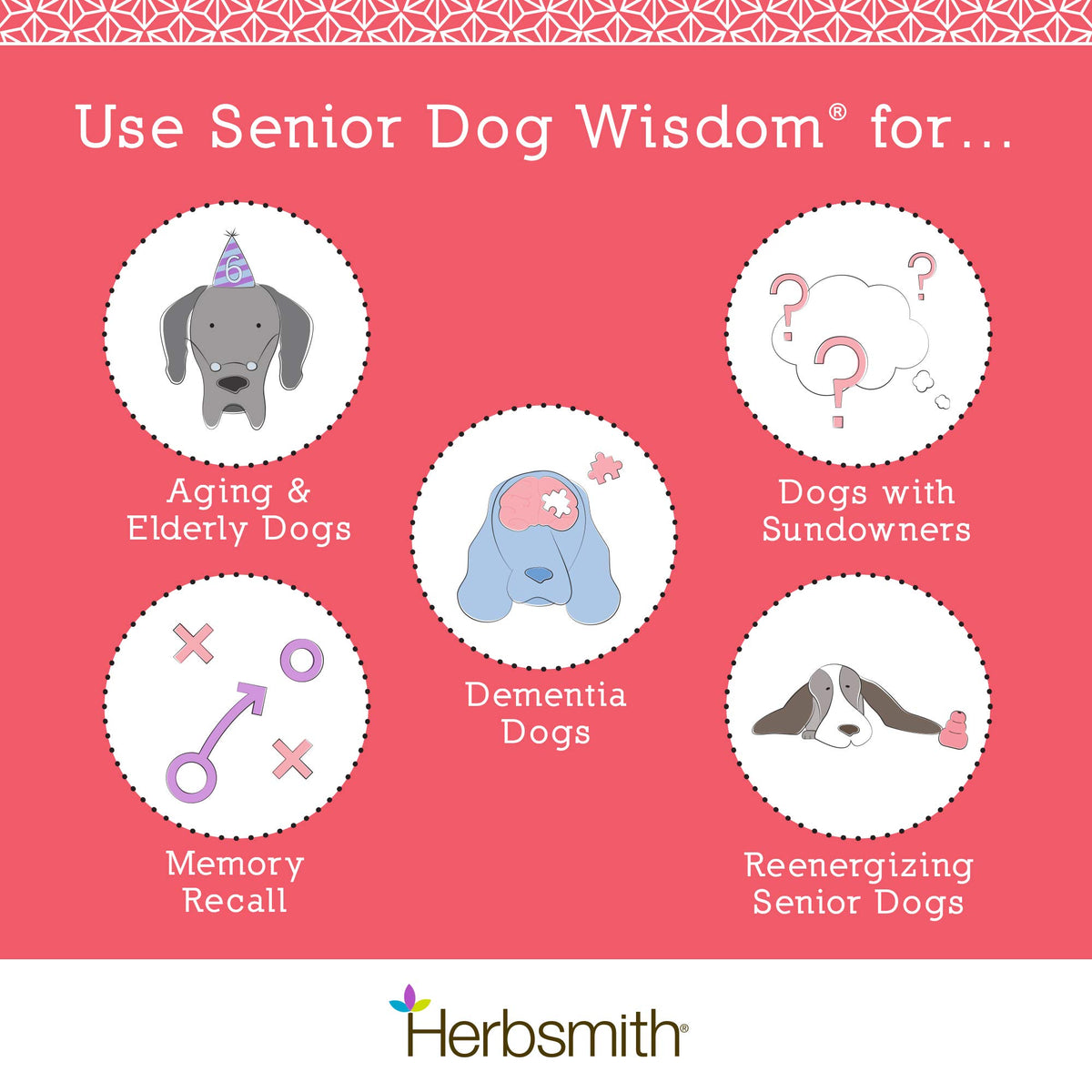 Senior Dog Supplement 60ct Small Chews Z831