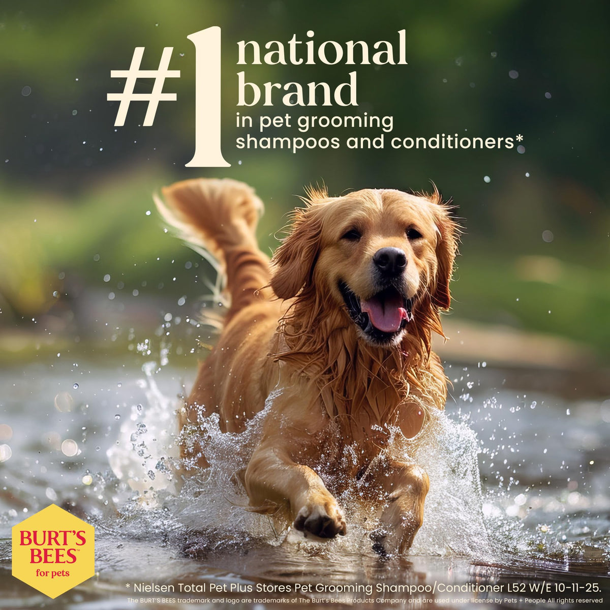 Fragrance-Free Oatmeal Dog Conditioner 10 Fl Oz D35277