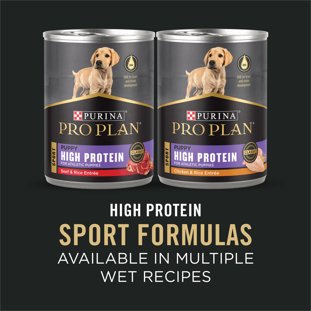 Chicken and Rice High Protein Dog Food 35 lb S73469