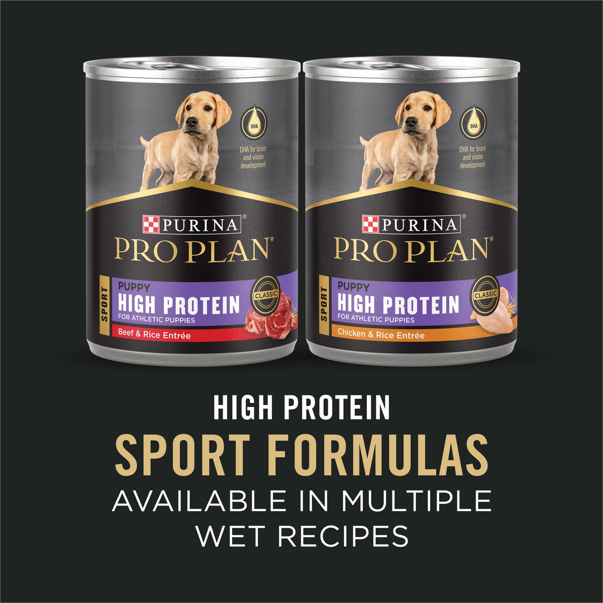 Chicken and Rice High Protein Dog Food 35 lb S73469