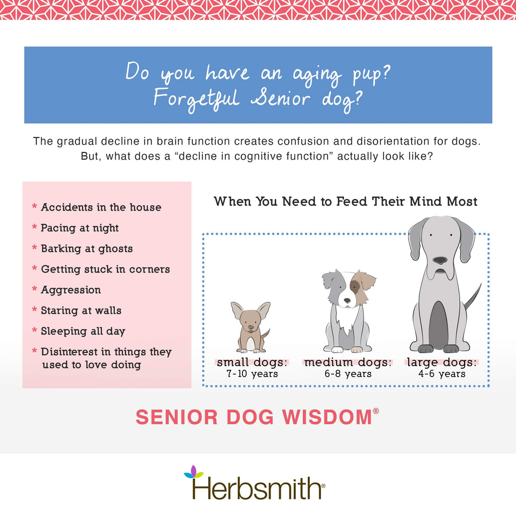 Senior Dog Supplement 60ct Small Chews Z831