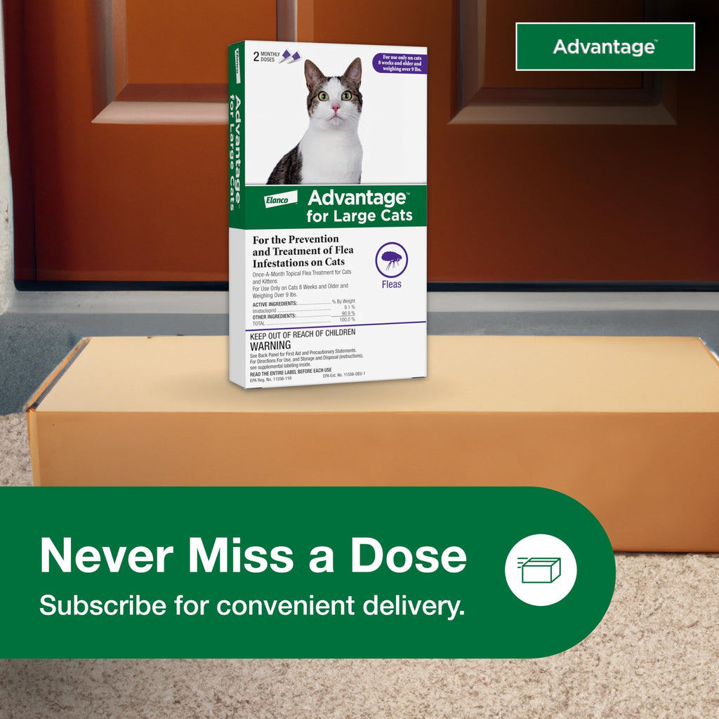 Topical Cat Flea Treatment and Prevention for Large Cats Over 9 lbs Y7371