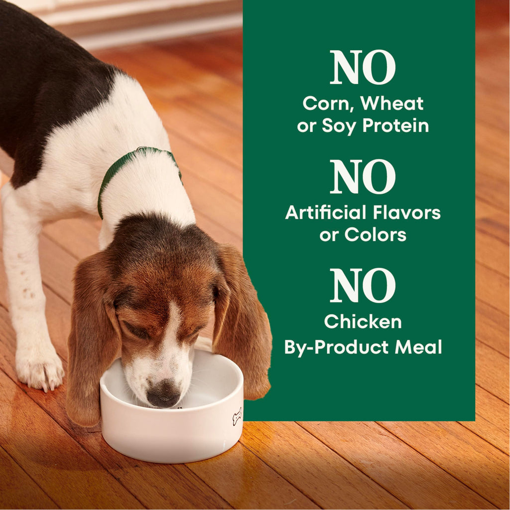 Large Breed Puppy Dry Dog Food Chicken 13 lb B9346