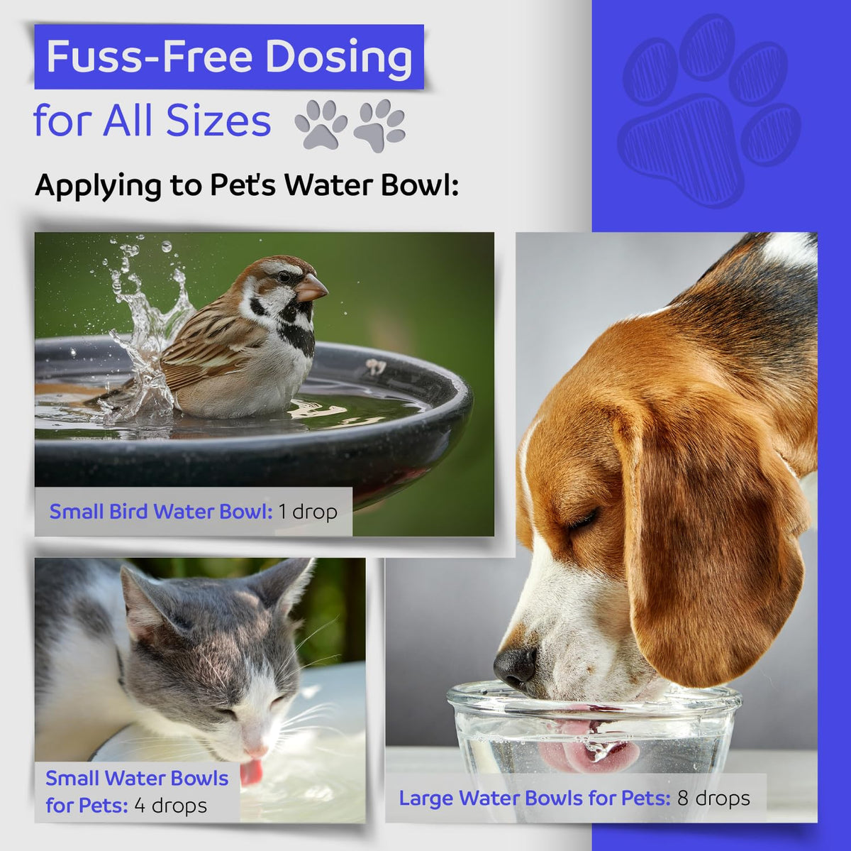 1 oz Natural Flower Essences for Dogs, Cats & Horses F391