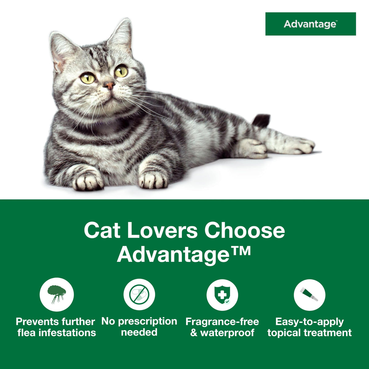 Topical Cat Flea Treatment and Prevention for Large Cats Over 9 lbs Y7371