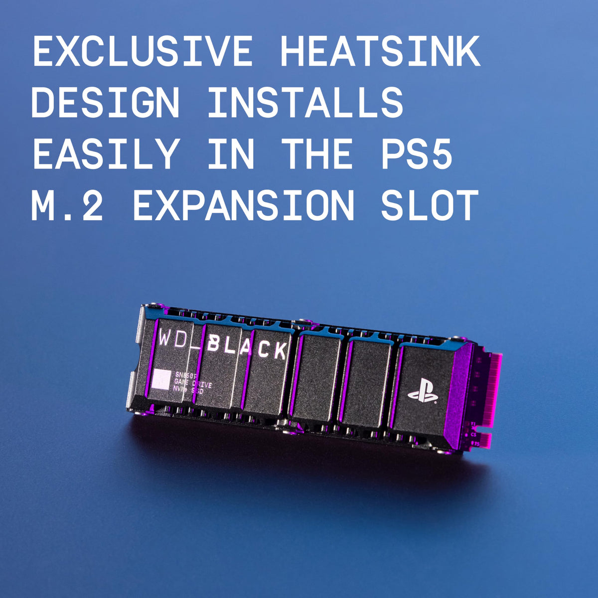 1TB NVMe M.2 SSD with Heatsink D855