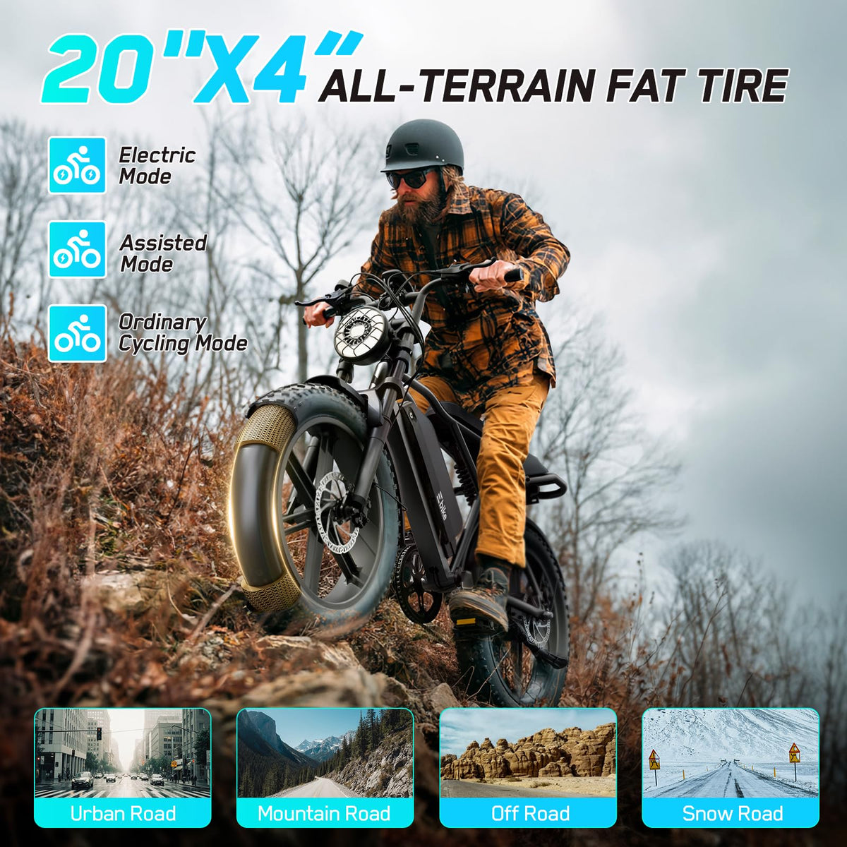 Electric Bike 48V 2000W Motor N6002
