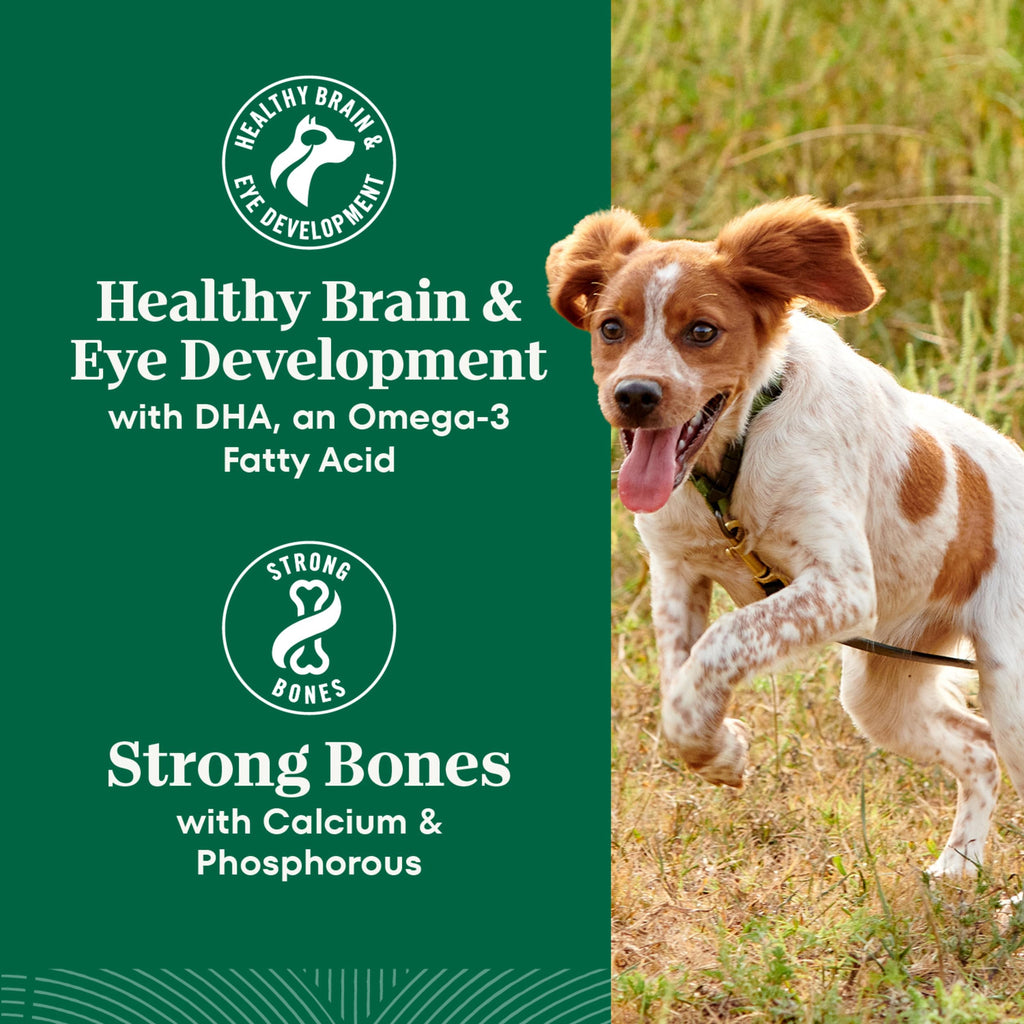 Large Breed Puppy Dry Dog Food Chicken 13 lb B9346