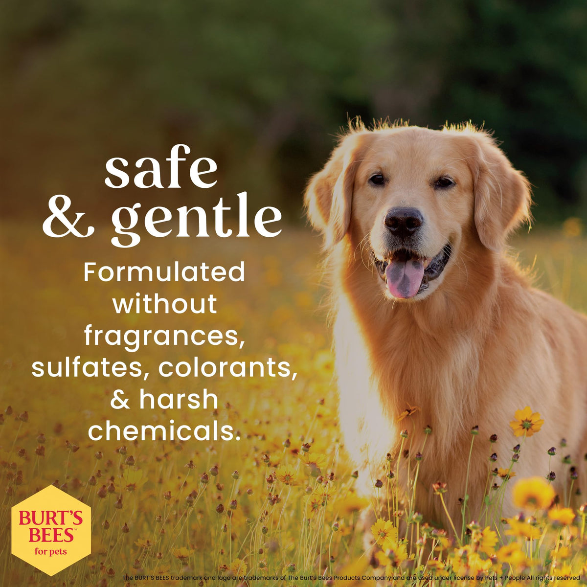 Fragrance-Free Oatmeal Dog Conditioner 10 Fl Oz D35277
