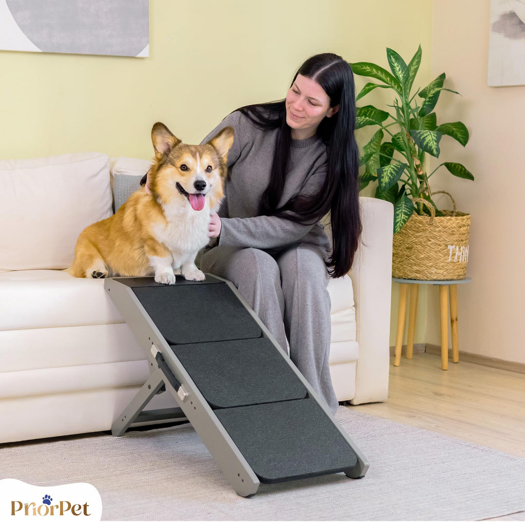 Foldable Non-Slip Dog Ramp P692235