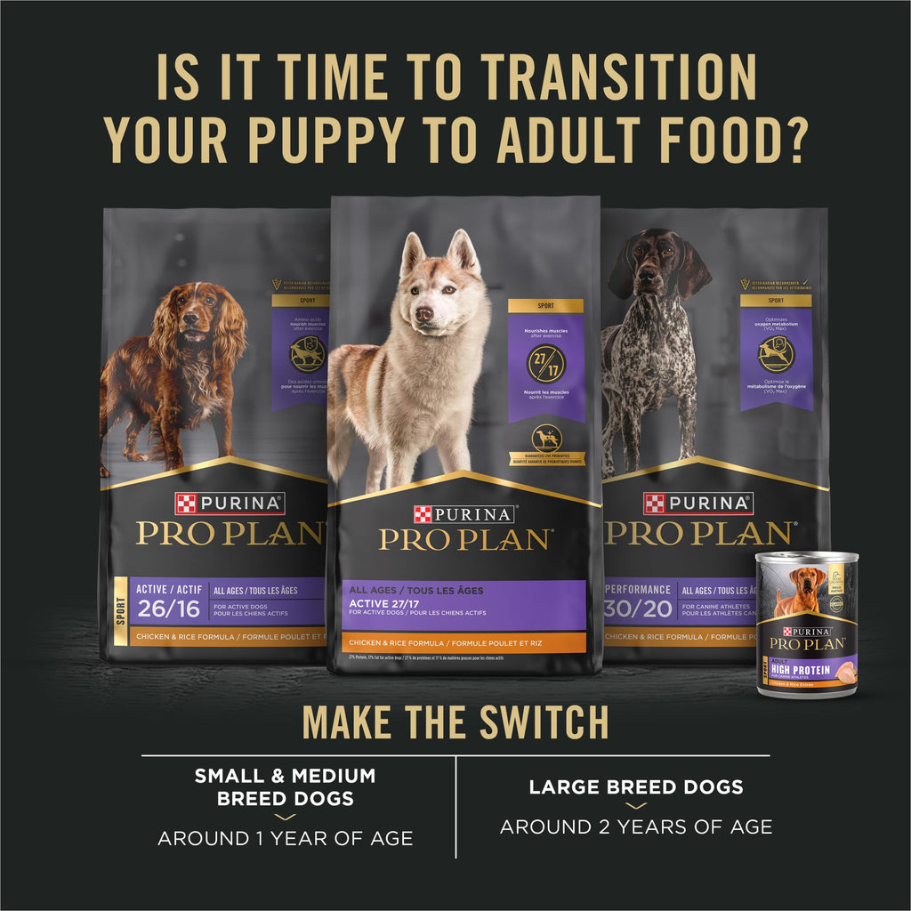 Chicken and Rice High Protein Dog Food 35 lb S73469