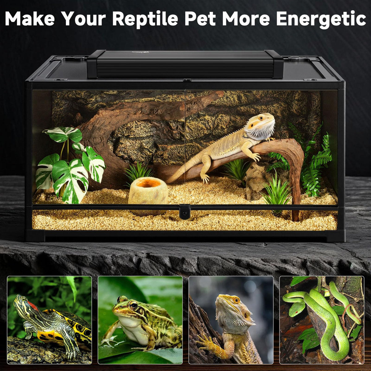 8W UVB Reptile Light Fixture Kit B445