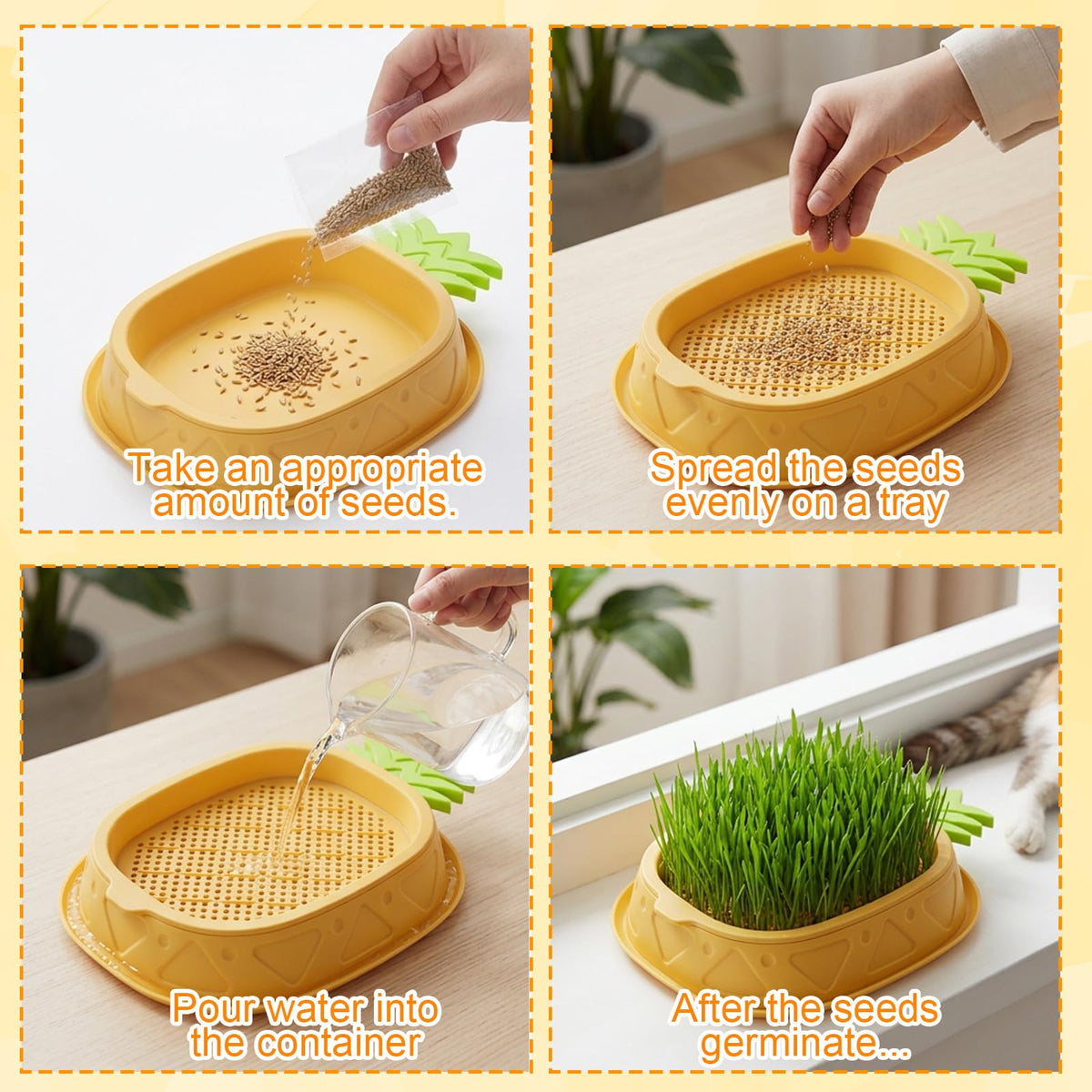 2 Pack Hydroponic Cat Grass Planter F9397
