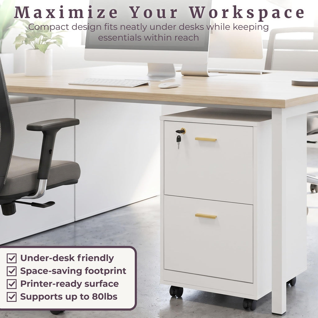 White 2 Drawer Wooden File Cabinet with Lock J18379